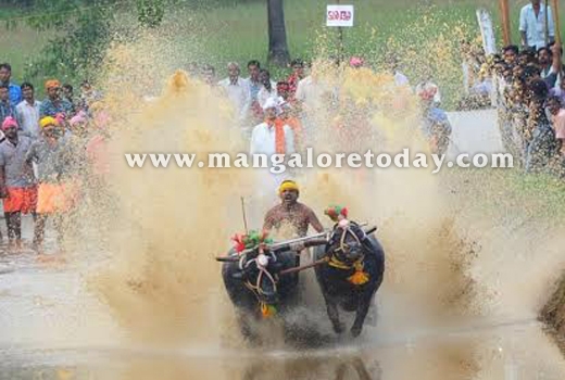 Arasu Kambala
